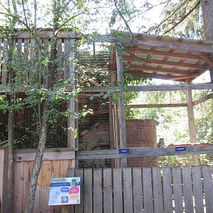 North Island Wildlife Recovery Centre - Barred Owl Exhibit