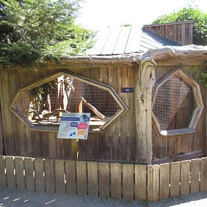 North Island Wildlife Recovery Centre - Northwestern Crow Exhibit