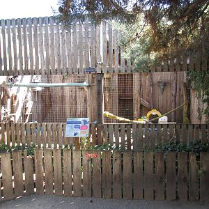 North Island Wildlife Recovery Centre - Raven Exhibit