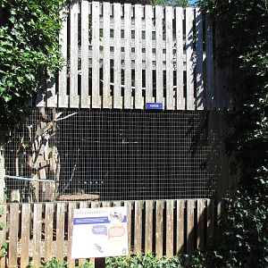 North Island Wildlife Recovery Centre - Red-Tailed Hawk Exhibit