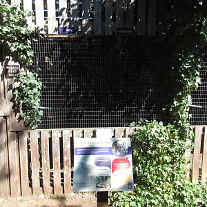 North Island Wildlife Recovery Centre - Great Horned Owl Exhibit