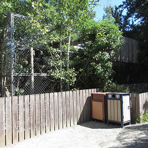 North Island Wildlife Recovery Centre - Bald Eagle Exhibit
