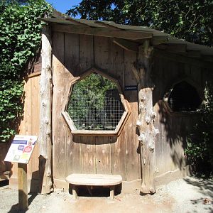 North Island Wildlife Recovery Centre - Barn Owl Exhibit