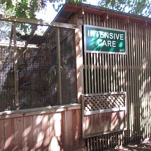 North Island Wildlife Recovery Centre - Off-Show Aviaries