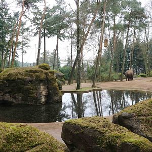 Asian elephant enclosure, February 2016