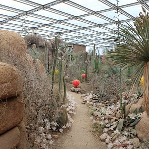 Burgers' desert, February 2016