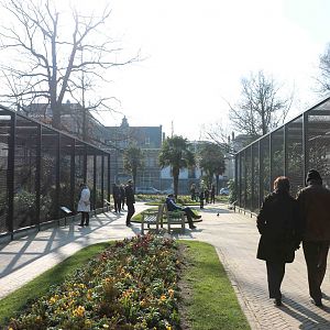 Aviaries, February 2016