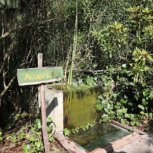 Aquarium - Bioparque la Reserva, March 2016