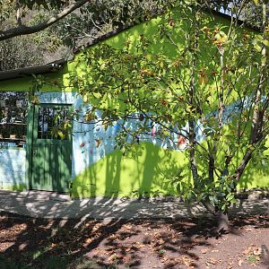 Souvenir shop - Bioparque la Reserva, March 2016