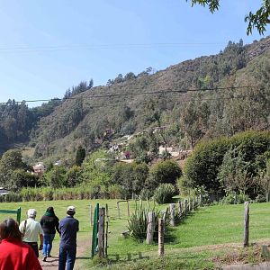 Across the road - Bioparque la Reserva, March 2016