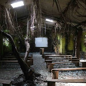 Auditorium - Bioparque la Reserva, March 2016