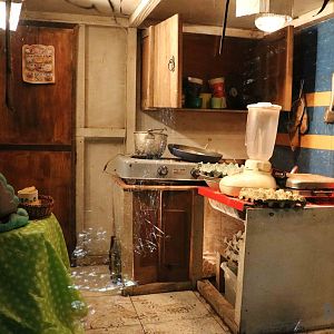 Cockroach display - Bioparque la Reserva, March 2016