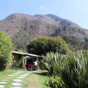Across the valley - Bioparque la Reserva, March 2016