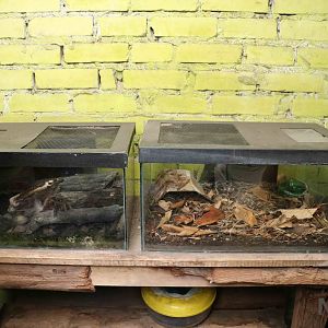 Little vivaria - Bioparque la Reserva, March 2016