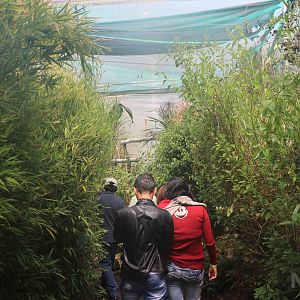 Tropical rainforest exhibit - Bioparque la Reserva, March 2016