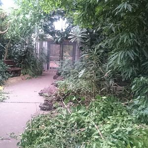 Prune-ing in the tropical hall