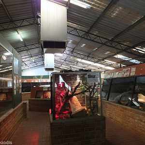View of Main Reptile Barn