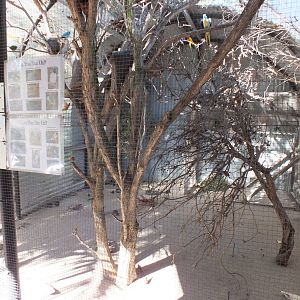 Aviary at the Entrance for Small Birds