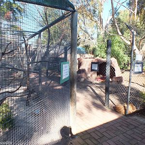 View of Area with Aviaries (left) and Dingo Enclosure (right)