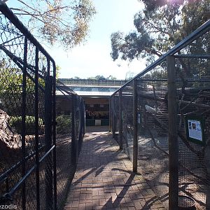 View through Aviaries Looking Back to Main Reptile Barn