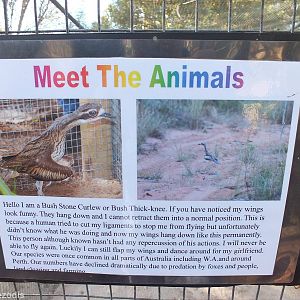Bush Stone-curlew Sign