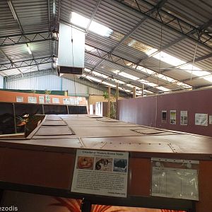 View Inside Main Reptile Barn