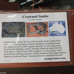 Reptile Signage Example