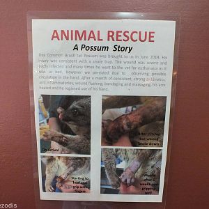 Possum Rescue Sign