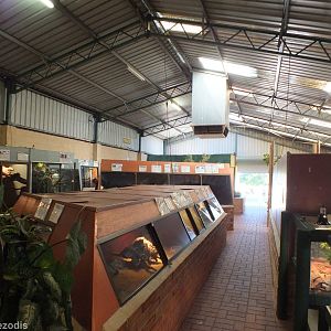 View in Main Reptile Barn