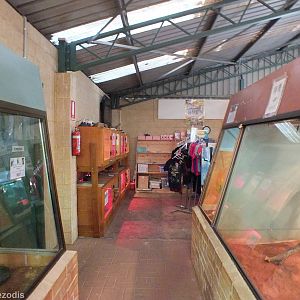 View in Main Reptile Barn Looking Towards Gift Shop
