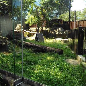 tasmanian devil exhibit 1