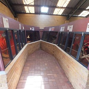 View of Section in Main Reptile Barn