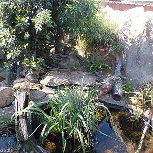 Outdoor Oblong Turtle Enclosure