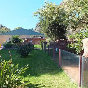 View in Outdoor Area Looking Back to Main Reptile Barn