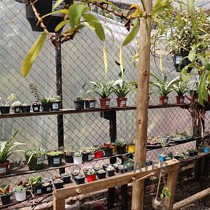 Greenhouse - Bioparque la Reserva, March 2016