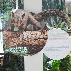 Yucatan Squirrel Sign 130816