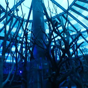 Nocturama Centre Exhibit 130816