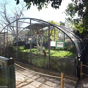 Australian Bustard and Barn Owl Enclosure