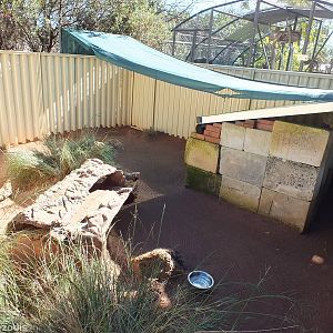 Wombat Enclosure