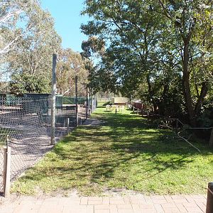 View in Outdoor Area, with Macropod Enclosure on the left