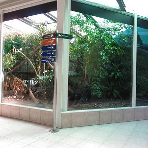Red-footed Tortoise, Grey-winged Trumpeter, Goeldi Monkey Enclosure 130816