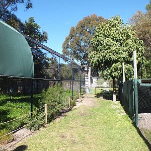 View in Outdoor Area (Wedge-tailed Eagle, left, and Macropod enclosure, rig