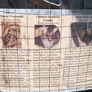 Sign of Species Held in Non-walkthrough Bit Within Walkthrough Aviary