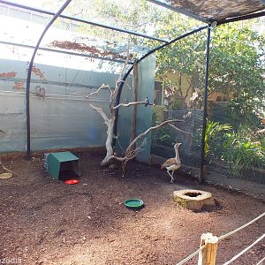 View in Walkthrough Aviary