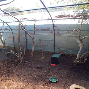 View in Walkthrough Aviary