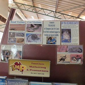 Display of Injured Animals