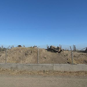 Olympic Game Farm - Prairie Dog Exhibit (left-side)