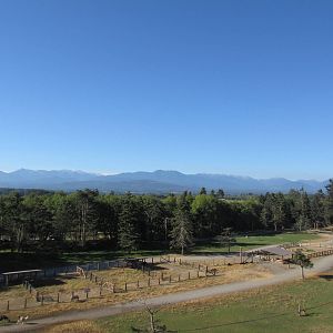 Olympic Game Farm - Hoofstock Field Overview