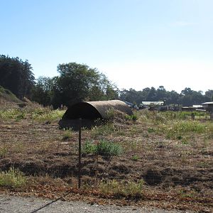 Olympic Game Farm - Grizzly Bear Exhibit #3 (minimal fencing)