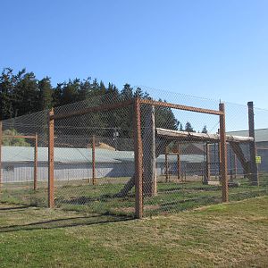 Olympic Game Farm - Future Tiger Exhibit